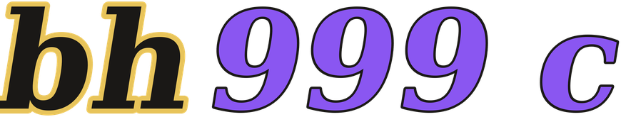 bh999 c logo
